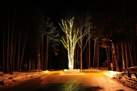 webimage-1047F2FC-B85F-4E69-BBA57D387E61BDB4