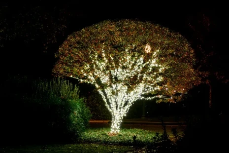 webimage-27255318-8F74-403C-825E089198E0FD7C