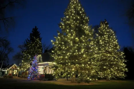 webimage-5B283A3F-E7F2-4653-B51A825CB42B86B2