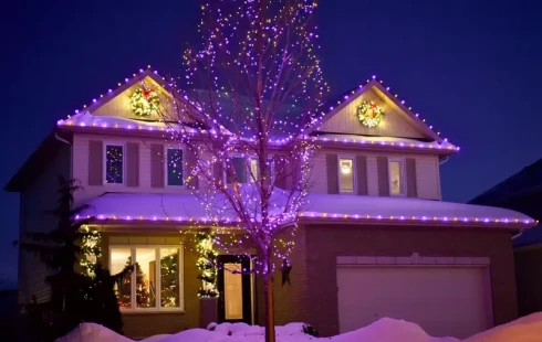 webimage-8E789E97-5888-488A-B2534A006BA8F5DD