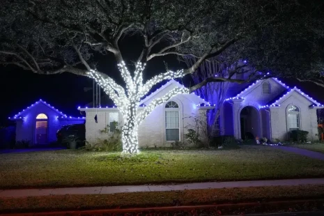 webimage-C03F452A-0A29-4D45-82223A8629E1D736