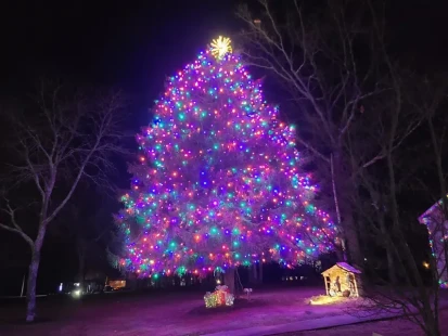 webimage-E35F6D7A-CC86-43C0-BE7225B79BD1B61A