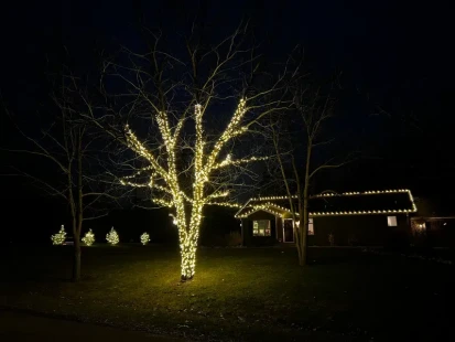 webimage-E9B39427-F6FE-4377-8B0716E691D3BB74