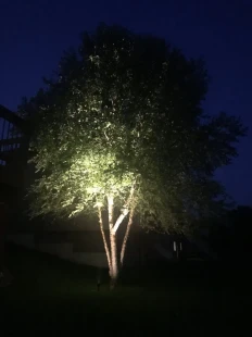 Photo-Aug-06-9-28-05-PM-scaled