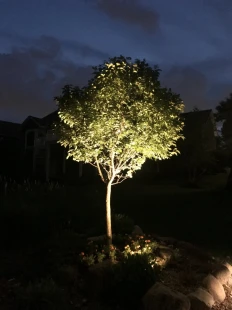 Photo-Jun-21-9-55-54-PM-scaled