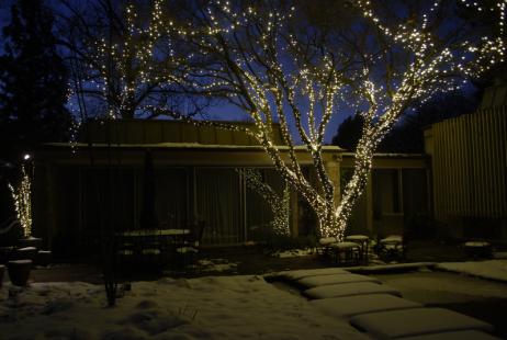 webimage-4AF3A18F-53D0-453C-AE7E66932E373329